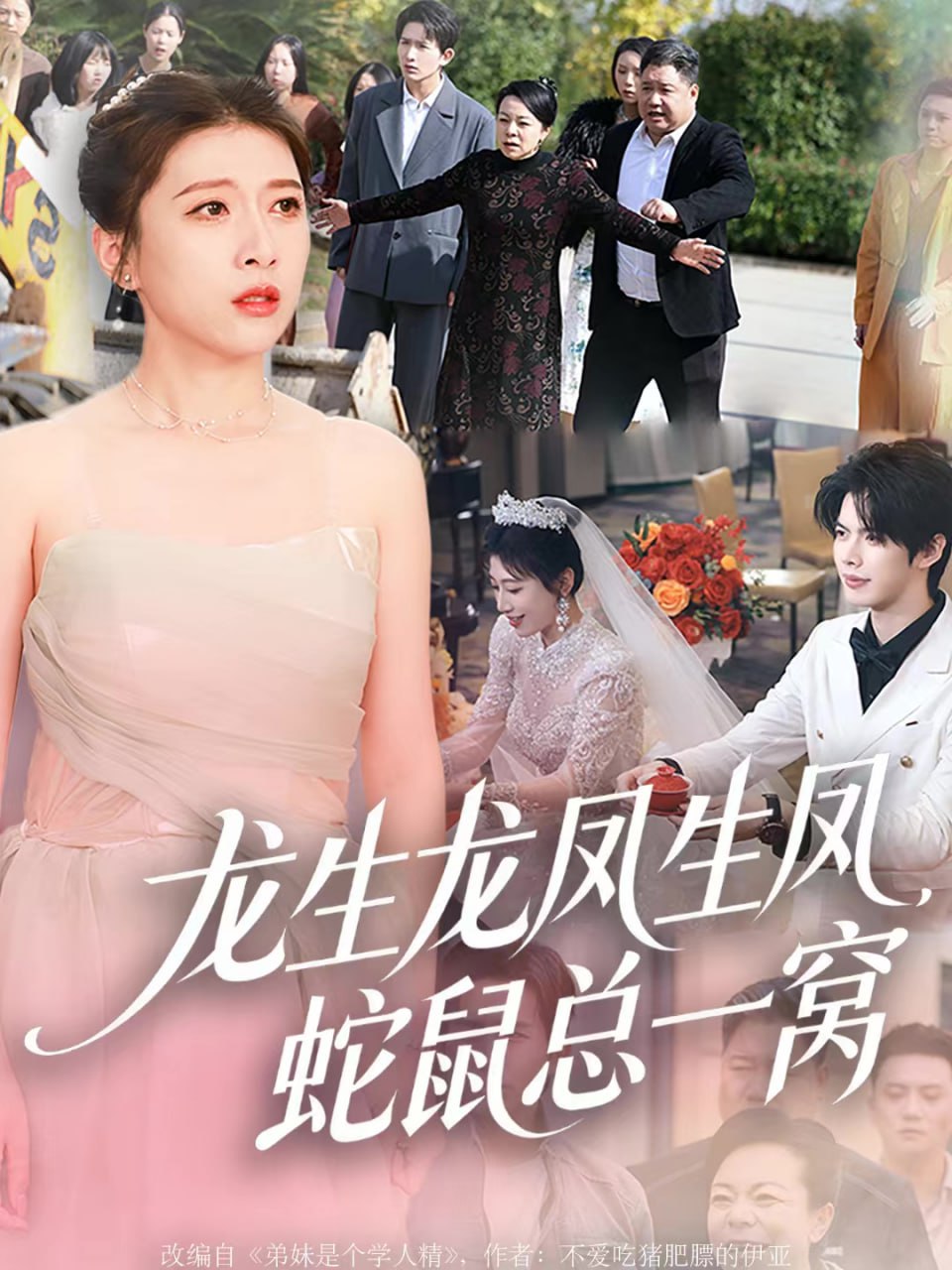 龙生龙凤生凤，蛇鼠总一窝(全集)